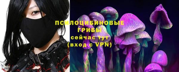 кокаин перу Богданович