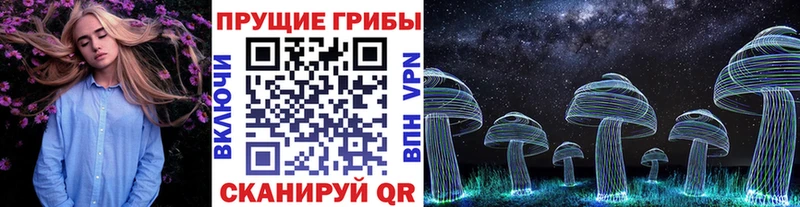 Псилоцибиновые грибы Cubensis Мураши